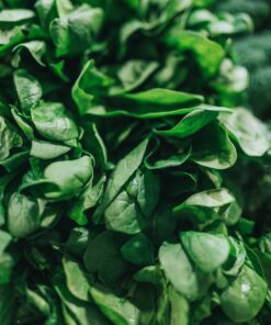 green leafy vegetable