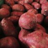 sweet potatoes