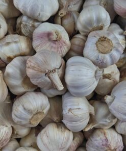 garlic lot on black surface