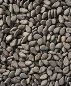 brown and black stones during daytime