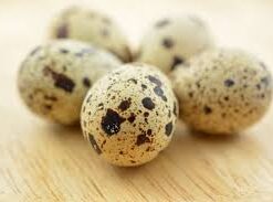 Huevos de Codorniz Docena