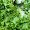 a pile of green lettuce sitting on top of a table