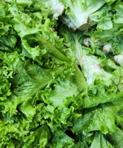 a pile of green lettuce sitting on top of a table