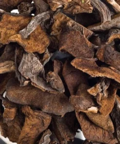 Hongos de Pino x 100grs