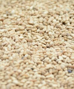 brown and white pebbles in close up photography