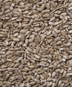 brown and black dried leaves